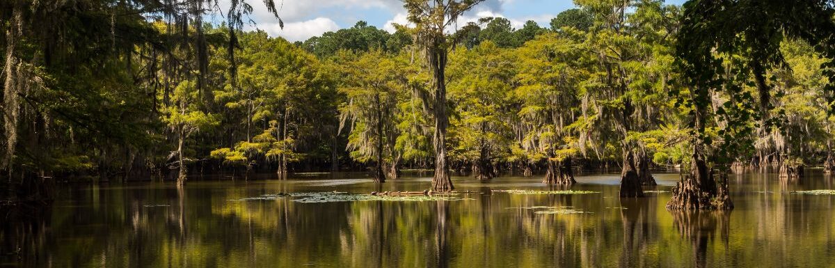 Beautiful view at the Caddo Lake State Park in Texas, USA.