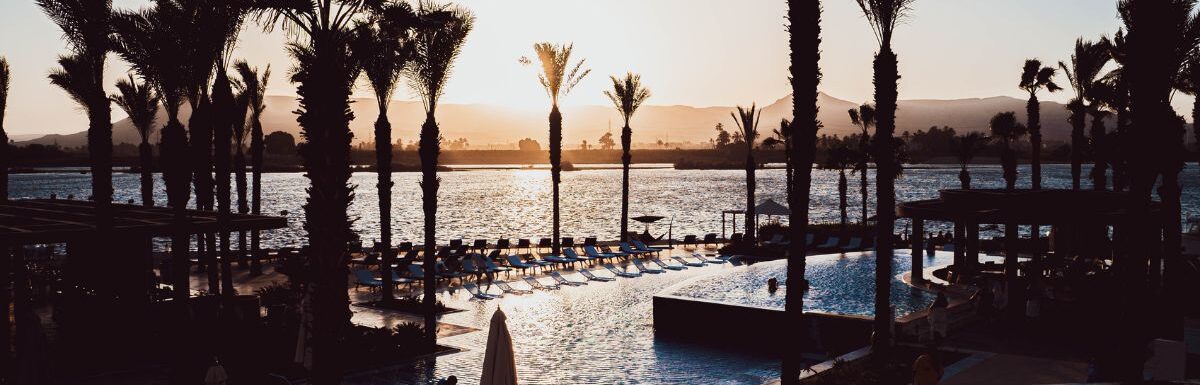 A pool surrounded by palm trees in front of a body of water.