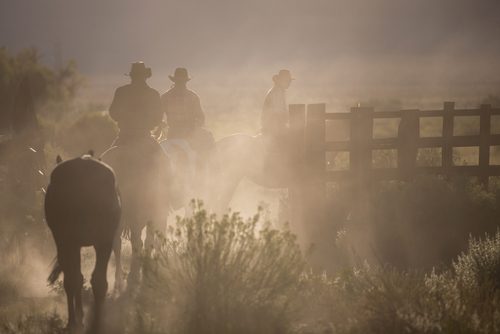 Cowboys horseback riding in Houston, Texas.