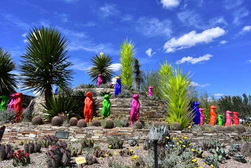 The Meerkat attraction at Desert Botanical Garden, Arizona