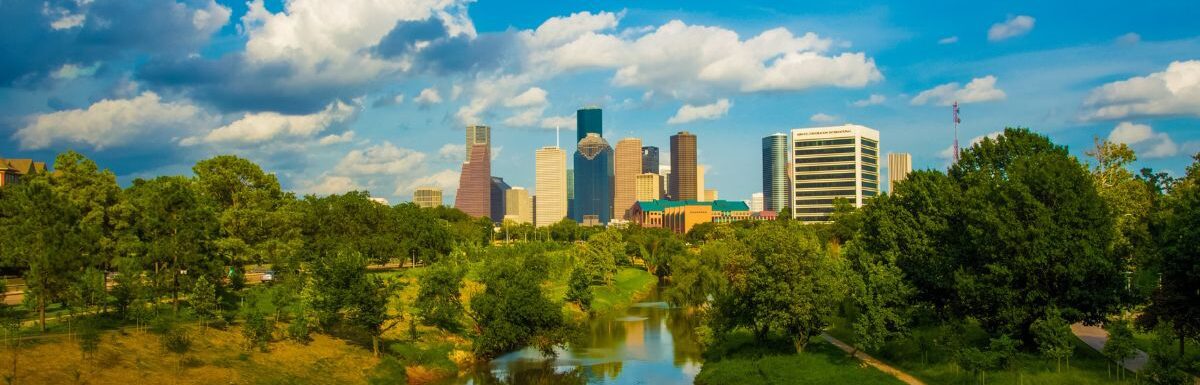 Green trees near a body of water under a blue sky during daytime in Houston, Texas, USA.