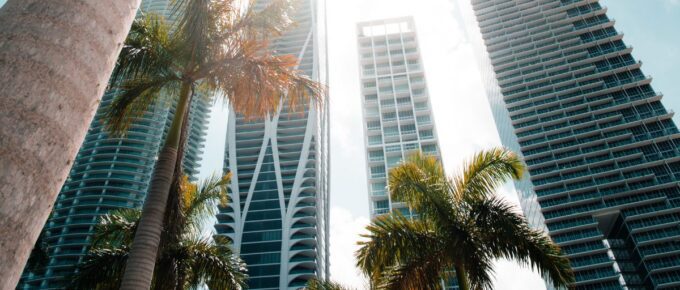 Low-angle photography of high-rise buildings with coconut trees around Miami, Florida, USA.