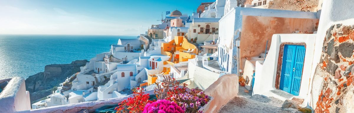 Picturesque view of traditional Cycladic Santorini houses on small street with flowers in foreground in Santorini, Greece.