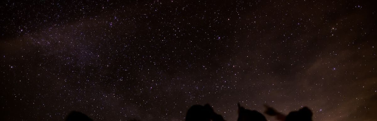 Silhouette of a group of friends stargazing.